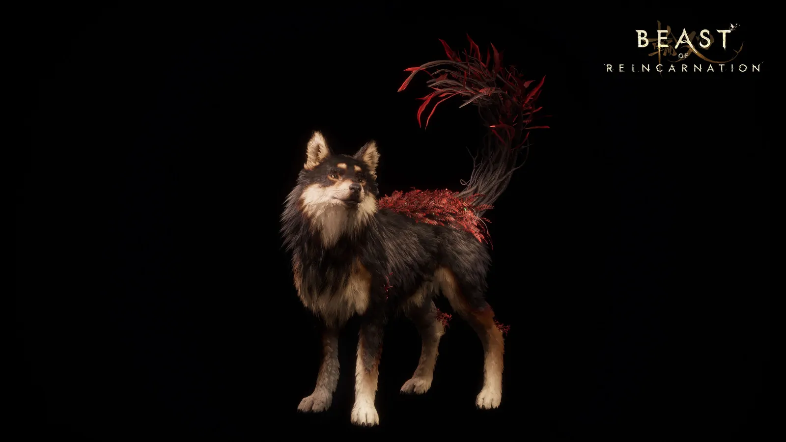 Koo, the blighted dog companion