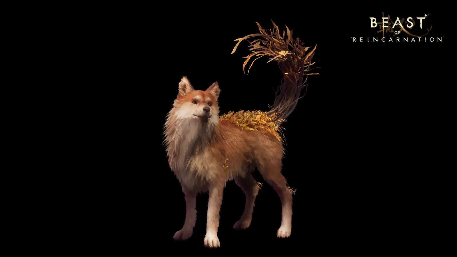Official Beast of Reincarnation render of Koo in a tan brown Shiba coat with golden blighted foliage along his back and tail